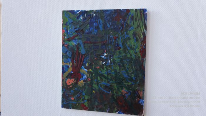 DSC02376- JBZ-expo Tussen land en zee - Frans Beerens en Jessica Knoot - 4feb2026 - foto GerardMontE DSC02376- JBZ-expo Tussen land en zee - Frans Beerens en Jessica Knoot - 4feb2026 - foto GerardMontE