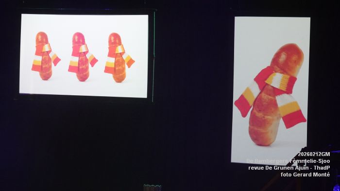 DSC02881- cv De Bambergers ThadP - revue De Grunen Ajuin - 12feb2026 - foto GerardMontE DSC02881- cv De Bambergers ThadP - revue De Grunen Ajuin - 12feb2026 - foto GerardMontE