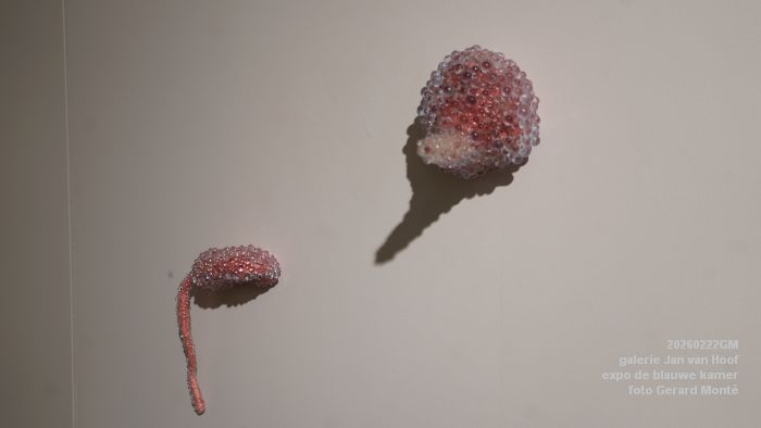 DSC08694- galerie Jan van Hoof - finissage expo de blauwe kamer - 22feb2026 - foto GerardMontE DSC08694- galerie Jan van Hoof - finissage expo de blauwe kamer - 22feb2026 - foto GerardMontE