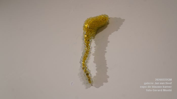 DSC08719- galerie Jan van Hoof - finissage expo de blauwe kamer - 22feb2026 - foto GerardMontE DSC08719- galerie Jan van Hoof - finissage expo de blauwe kamer - 22feb2026 - foto GerardMontE